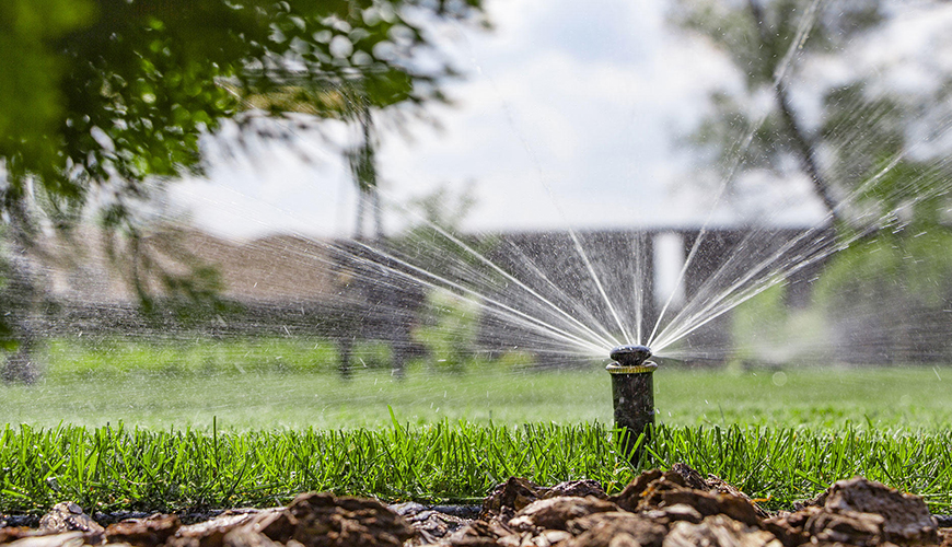 Jardinagem Master Terceirização De Serviços 5404